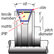 belt section