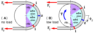 zone rotation