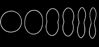 collapse stages of a subsea tube