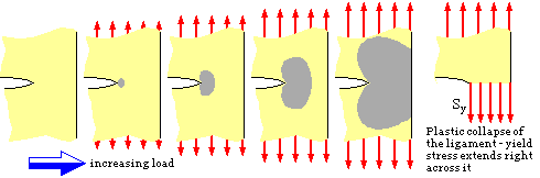 growth of yield zone