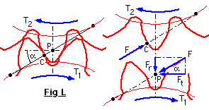 tooth forces, fig L